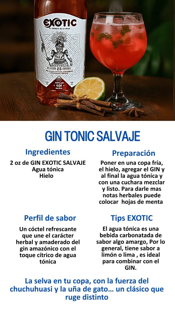 receta gin tonic fruta con el licor destilado gin umami y licor de cortezas frutas marca exotic